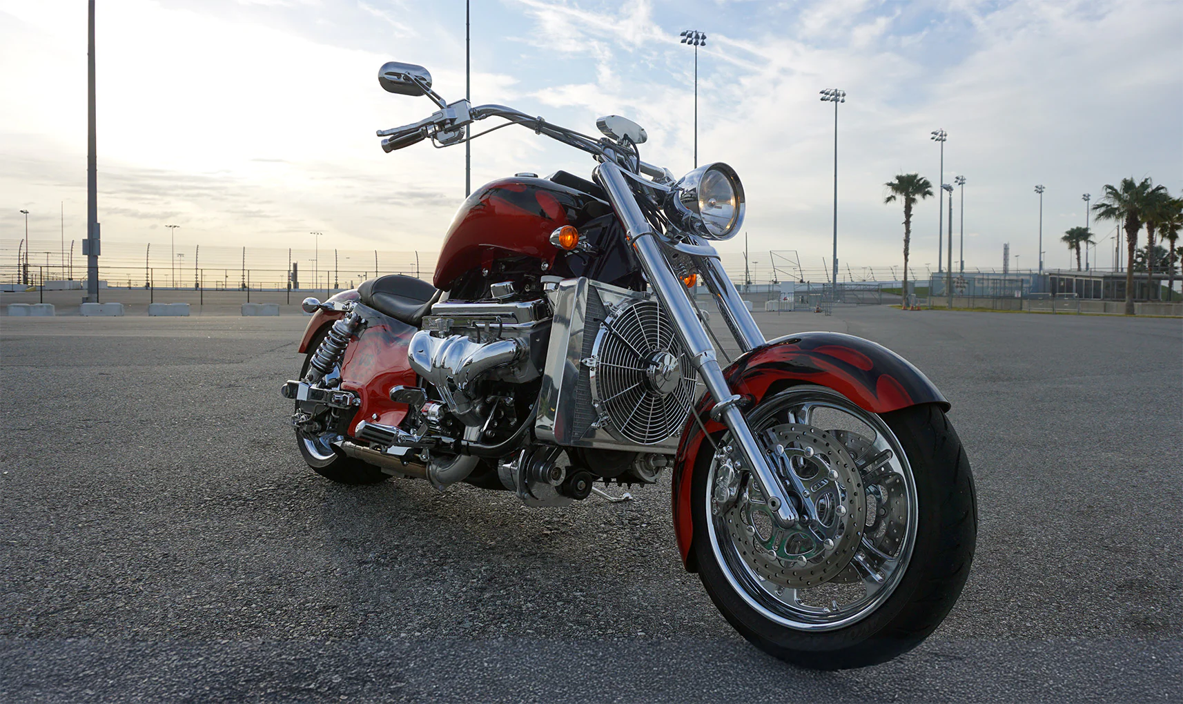 Cruiser Bike - Image 6